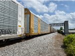 TTGX 824546